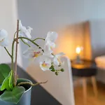 Rr - 80qm - Balcony - Washer * 마그데부르크