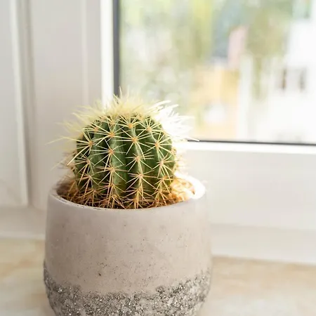 Rr - 80qm - Balcony - Washer Appartement Maagdenburg