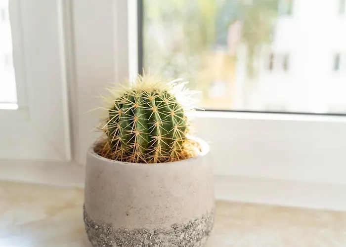 Rr - 80qm - Balcony - Washer Apartman Magdeburg